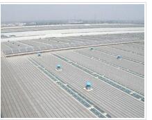 濟南彩鋼瓦多少錢一米？